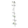thumbnail image 6 of BalsaCircle 6 feet White Garland Silk Peony Flowers Leaves Wedding Party Bouquets Centerpieces, 6 of 6