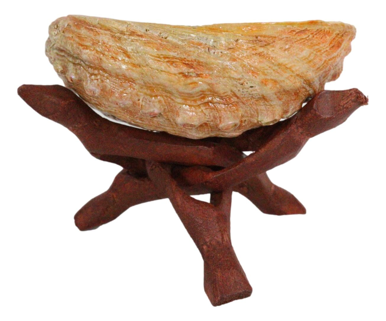 Marine Natural Abalone Shell On Accent Wood Tripod Stand Jewelry Incense Holder