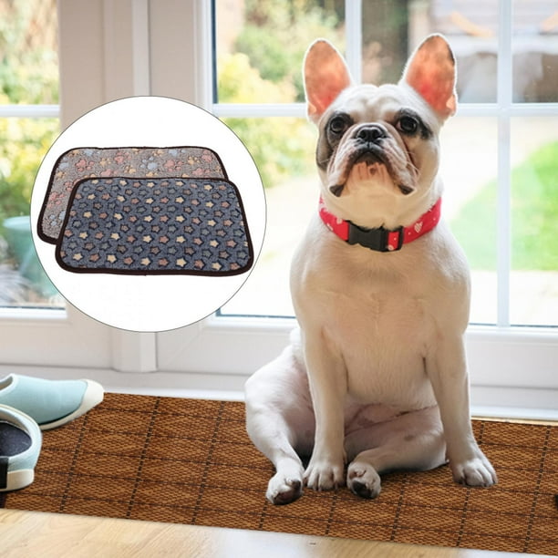 Dog cooling mat clearance walmart