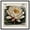 Black Frame, variant on Postal Bloom II Canvas Print Cute Art Prints by Art Remedy, Black Frame, 12 x 12