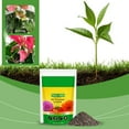thumbnail image 5 of Potting Soil, Breathable Indoor Soil Mix, Natural Balanced Fertilizer, Ideal for Vegetable, Cactus, Bonsai Gardening and Outdoor Planting, 5 of 9