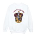 thumbnail image 1 of Harry Potter Boys Gryffindor Cotton Sweatshirt, 1 of 6