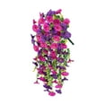 thumbnail image 1 of Uinagy Hanging Morning Glory, 1 of 2
