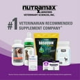 thumbnail image 3 of Dasuquin for Cats Soft Chews 84ct, 3 of 10