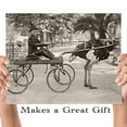 thumbnail image 4 of Lone Star Art California Ostrich Buggy Bizarre Strange Weird Vintage Photo - 11x14 Unframed Print - Perfect Vintage Home Decor, 4 of 6