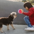 thumbnail image 4 of 1 Set Plush Ball Dog Toy for Dogs with Fluffy Stuffed Ball 4.7x4.7in, 4 of 9