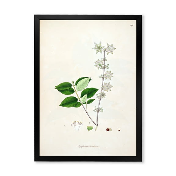 Designart 'Ancient Botanicals XV' Farmhouse Framed Art Print
