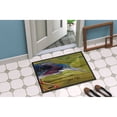thumbnail image 4 of Green Heron Door Mat, 4 of 4