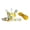 Pineapple, variant on Adjustable Small Harness Vest with Leash for Meerkats and Squirrels Small Pet Comfortable Walking and Training