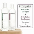 thumbnail image 3 of Brandywine Non Static Shampoo & Revitalizing Conditioner 16 Ounce., Value Pack Bundle 2 items, 3 of 5