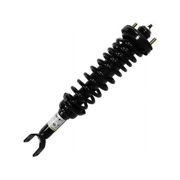 Rear Strut and Coil Spring Assembly - Compatible with 1994 - 2001 Acura Integra 1995 1996 1997 1998 1999 2000