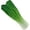 Shanghai Green, variant on Fake Vegetable Artificial Pak Choi Cabbage Realistic Food Green Soft PU Home Kitchen Shop Supermarket Party Table Decoration Photography Props