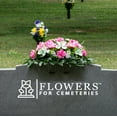 thumbnail image 7 of Sympathy Silks Artificial Cemetery Flowers - Pink Dahlia White Orchid Saddle for Outdoor Headstone, 7 of 7