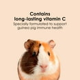 thumbnail image 5 of Kaytee Forti Diet Timothy Select Guinea Pig Food 3.5 Pounds, 5 of 10