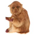thumbnail image 2 of Statue de Jardin Extérieure Adorable Vivid Monkey Sculpture en Polythène - Foncé, 2 of 6