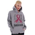 thumbnail image 3 of Survivor Breast Cancer Pink Ribbon Hoodie Sweatshirt Women Brisco Brands M, 3 of 6