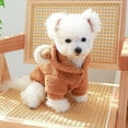 thumbnail image 5 of Chandail à Capuchon Confortable pour Chien et Chat en Laine d'Agneau avec Ours Rond, 5 of 5
