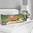 thumbnail image 2 of ABPHOTO Funny Guinea Pig with Glasses Reading Bookcute Animal Body Pillow Covers Case Pillowcase 20x60 inch Couch, 2 of 2
