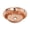 Polished Copper, variant on Native Trails Maestro Bajo in Polished Copper - CPS471