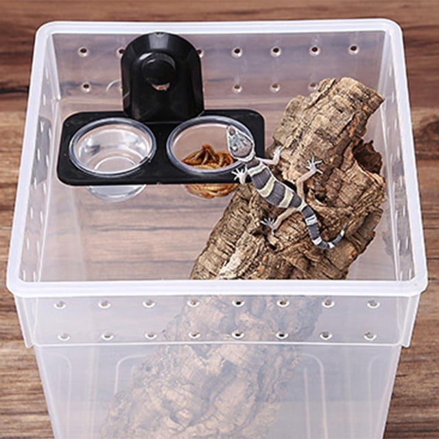 Recipiente de alimentación de insectos de pan Gecko de doble propósito para reptiles (A)