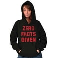 thumbnail image 3 of Funny Political Pun Zero Facts Given Unisex Plus Fleece Graphic Hoodie Brisco Brands 2X, 3 of 5