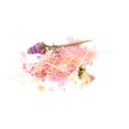 thumbnail image 4 of Material Para Hacer Ramos, Flores Secas De Secado Al Aire De Fragancia Tenue Natural Pura Brillante Y Vívida Para Decoración De Ropa Para Equipaje OTVIAP Rosa (# 1), 4 of 8