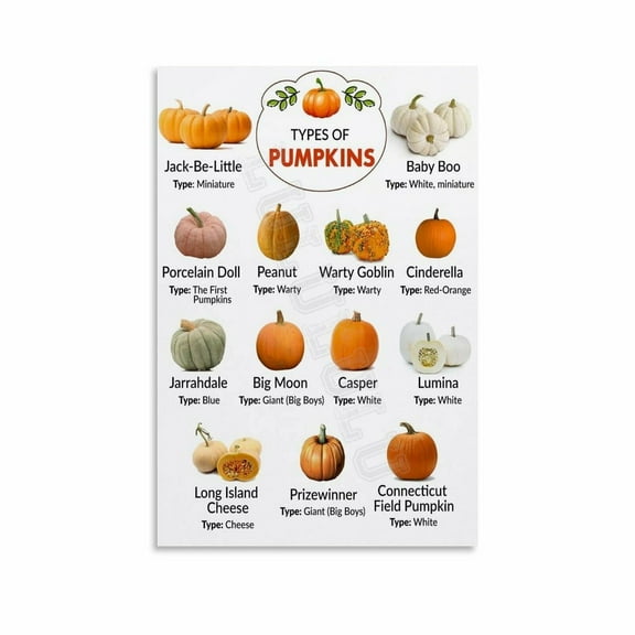 Different Types Pumpkin And Squash Poster (2) Canvas Painting Wall Art Poster for Bedroom Living Room Decor