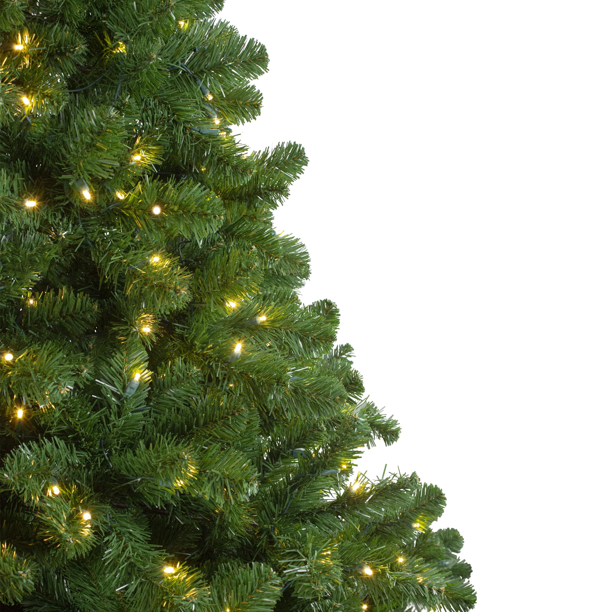 12' Pre-Lit Full Olympia Pine Artificial Christmas Tree with Wheels- Warm White LED Lights