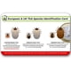 thumbnail image 3 of Paquete de 2 kit de eliminación de piojos premium – Eliminación de piojos de acero inoxidable + pinzas, estuche – Tenedor de acero inoxidable para piojos, repelente de piojos, pulgas, doble clip, juego de herramientas para eliminar piojos Sincero Electrónica, 3 of 5