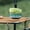 A Succulent Pots, variant on Round Shallow Succulent Ceramic Planter Pots with Drainage Hole Glazed Shallow Bonsai Pot for Indoor Outdoor Decor Cactus Flower, 6.7x2.5 Inchs