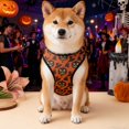 thumbnail image 4 of BotaniNest Pet Print Pullover Vest Cute Summer Autumn Dogs Shirts Soft Pet Puppy Apparel 5 Sizes, 4 of 4