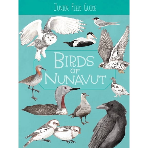 Junior Field Guides Junior Field Guide: Birds of Nunavut: English Edition, (Paperback)