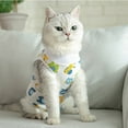 thumbnail image 5 of Cartoon Print Dog Recovery Suit Onesie After Pet Operation For Female Male Dogs Cats Cartoon Postoperative Snuggly Vest For Abdominal Wounds Weaning Anti Licking Vest Pet Vest Gift For Pet S, 5 of 5