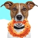 thumbnail image 2 of Juguete masticable para perros para masticadores agresivos: Juguete masticable para cachorros de caucho natural ultrarresistente casi indestructible para razas medianas y grandes LingWen 7024719693257, 2 of 4