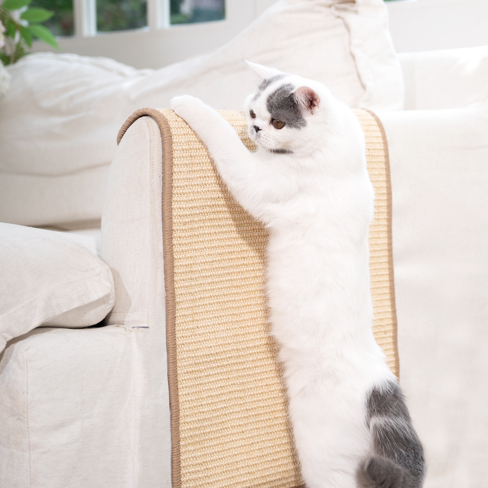 CheerPals Cat Scratcher Mat, 23.6 x 15.7" Sisal photo 8