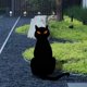 thumbnail image 4 of 2 estacas de jardín con de gato, hierro para Halloween para patio Gloria Estaca de silueta, 4 of 9