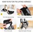 thumbnail image 4 of Dog Lifting Harness, Dog Support Harness For Back Legs, Soft Dog Support Sling For Injured Disabled Dogs, 4 of 5
