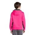 thumbnail image 2 of SportWick Fleece Colorblock Hooded Pullover, 2 of 2