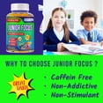 thumbnail image 2 of ROVita Focus Kids Omega 3 Gummies with DHA - Brain Support & Focus Supplement - Fish Oil Omega-3 for Children - Memory & Cognitive Support - Kids Multivitamin Gummies - 60 Gummies, 2 of 9