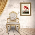 thumbnail image 3 of Audubon, John James 25x32 Gold Ornate Wood Framed with Double Matting Museum Art Print Titled - American Red Flamingo, 3 of 4