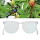 thumbnail image 5 of Gafas para Daltónicos Corrección de Rojo Verde Ciego Gafas Verdes Gafas Lentes Lentes Gafas Portátiles Plegables para Ceguera Negro ANGGREK Otros, 5 of 8