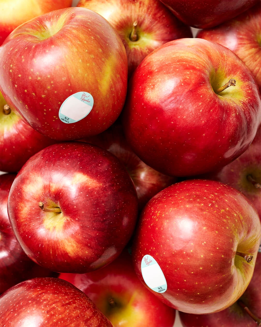 Fresh SnapDragon® Apples 9-Count Box (4 lb.)