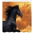 thumbnail image 3 of Ambesonne Nature Shower Curtain, Galloping Friesian Horse, 69"Wx70"L, Black Orange, 3 of 5