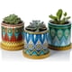 thumbnail image 1 of Succulent Planter Pots-3 Inch Small Ceramic Planters Plants Pots Mini Flower Vase for Indoor Plants, Gifts Set of 3, 1 of 4