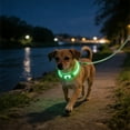 thumbnail image 5 of Eespoir Light Up Dog Collar, Led Dog Collar USB Rechargeable Flash Dog Necklace, Pet Safety Collar for Night Walk, Visibility, Small Medium Large Dogs(Green), 5 of 6