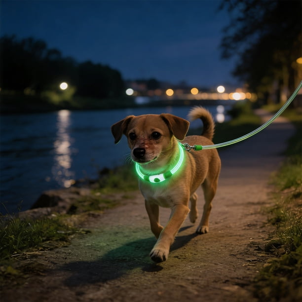Collar De Plástico Collar de seguridad LED recargable por USB para perros pequeños, medianos y grandes (1 unidad) JASKFLY