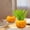 Yellow, variant on Konghyp Pumpkin Shape Plastic Flower Pot, Decorative Vase for Home Décor, Festive and Modern Design for Indoor and Outdoor Use, Easy to Maintain and Clean, Unique and Stylish Plant Container