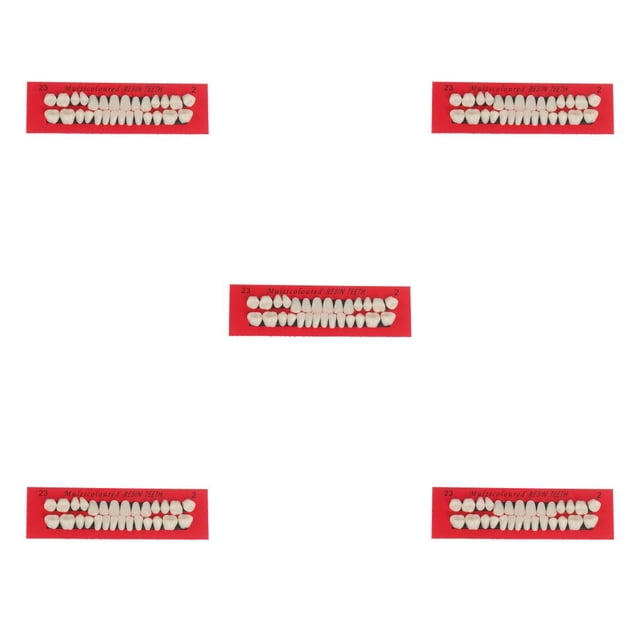 Seitruly 28 unids/set modelo de de resina dentaduras duraderas postizos universales Resi Type2 NO2 Seitruly CBP588904