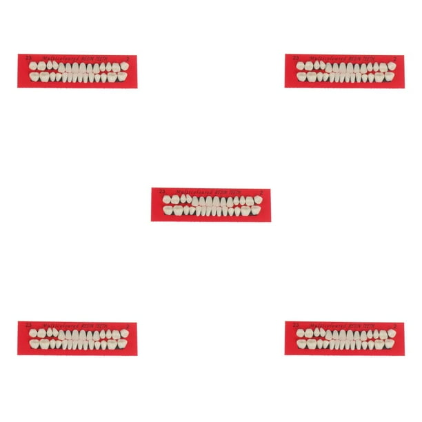 Qarigey 28 unids/set modelo de de resina dentaduras duraderas postizos universales Resi Type2 NO2 Qarigey CBP588904