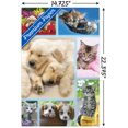 thumbnail image 2 of Keith Kimberlin - Collage de chiots et de chatons, 2 of 4